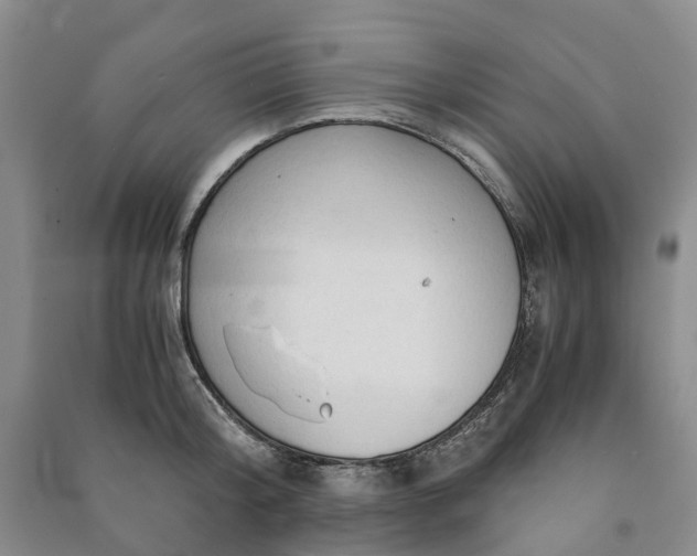 X0000090960804200708161814