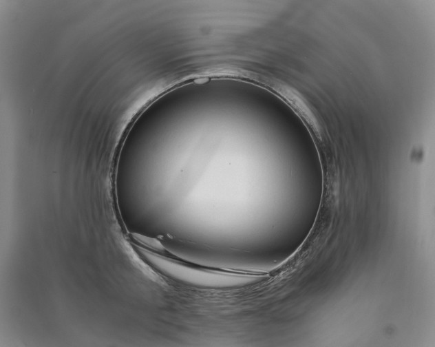 X0000090960805200708161814