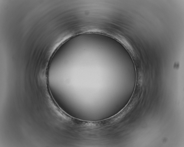 X0000090960806200708161814