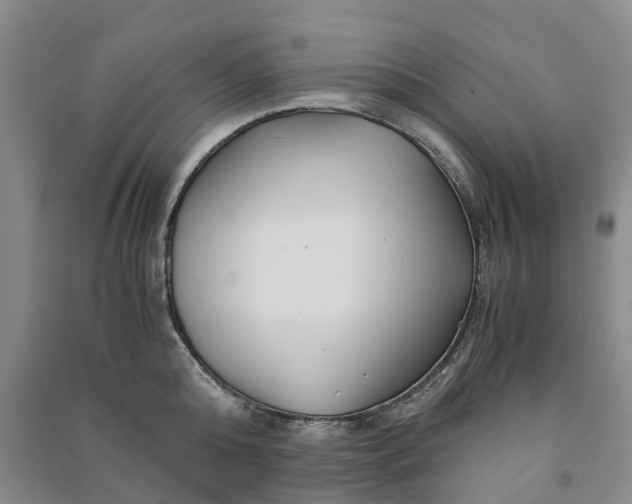 X0000090960808200708161814