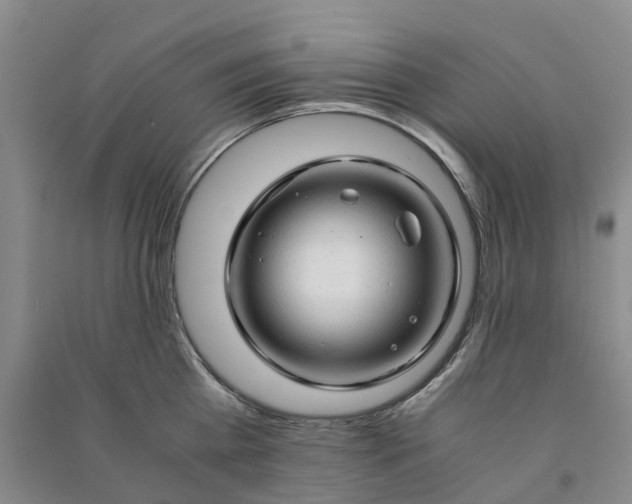 X0000090960809200708161814