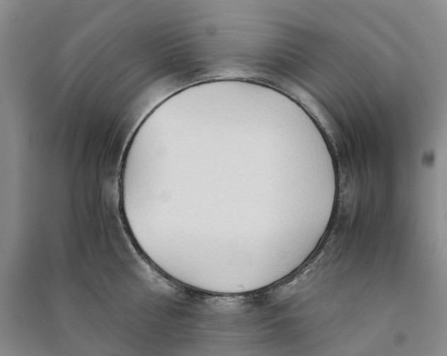 X0000090960810200708161814