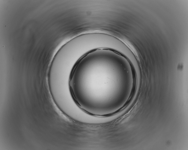 X0000090960813200708161814