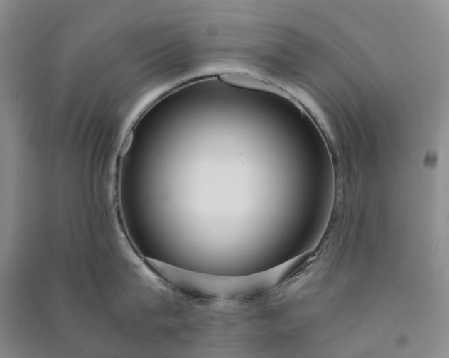 X0000090960815200708161814