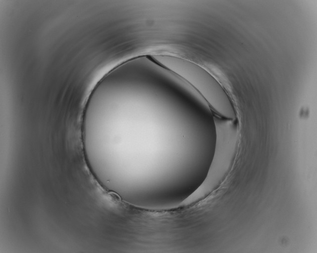 X0000090960816200708161814