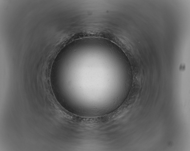 X0000090960817200708161814