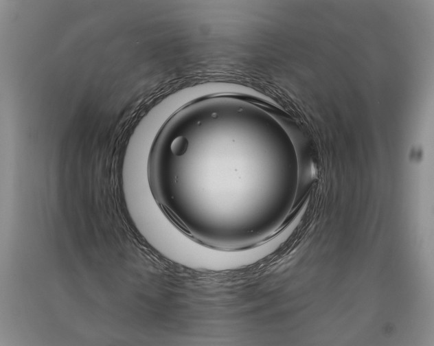 X0000090960818200708161814