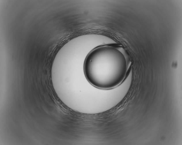 X0000090960820200708161814