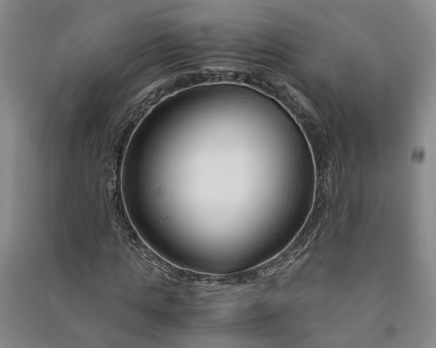 X0000090960821200708161814