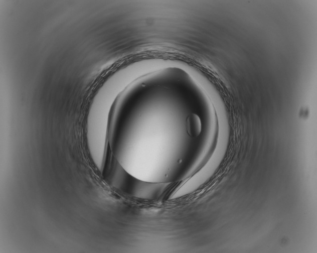 X0000090960822200708161814