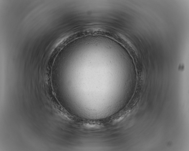 X0000090960823200708161814