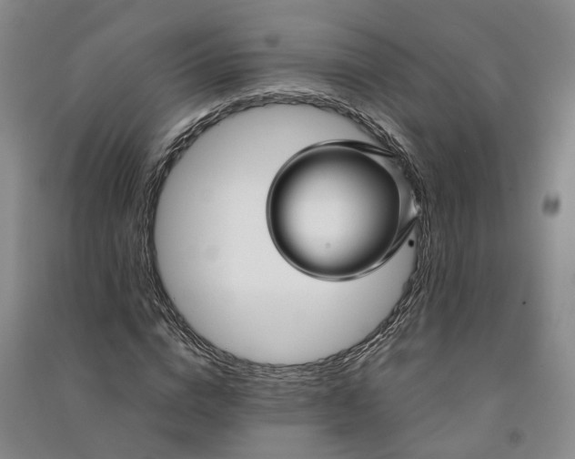 X0000090960824200708161814