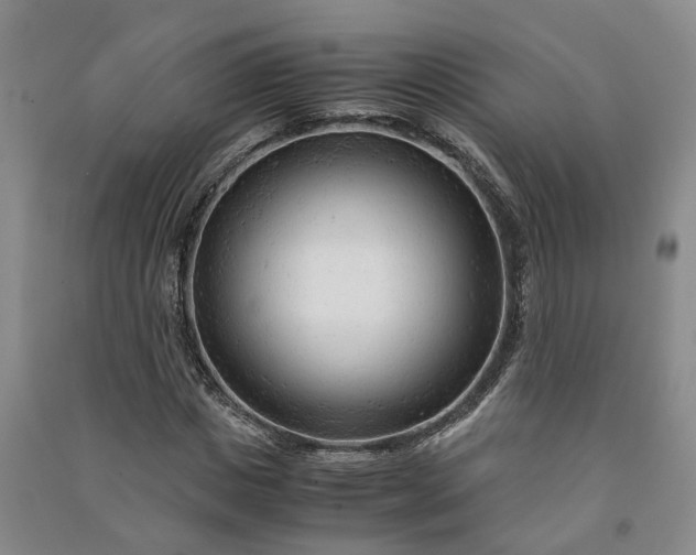 X0000090960825200708161814