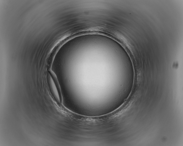 X0000090960827200708161814