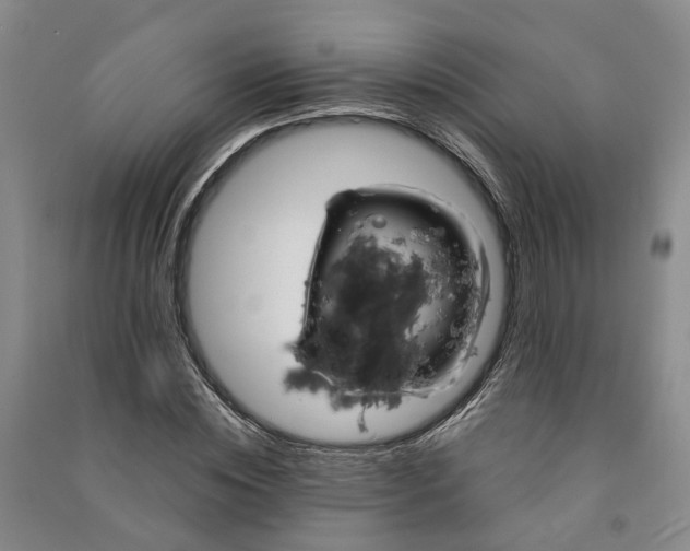 X0000090960828200708161814