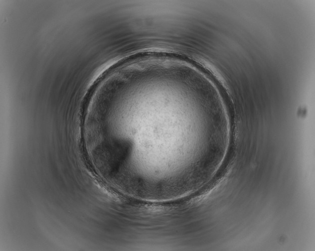 X0000090960829200708161814