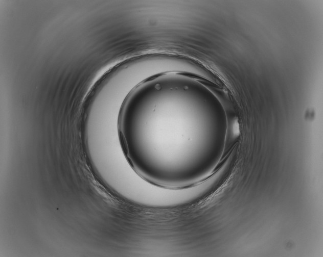 X0000090960830200708161814