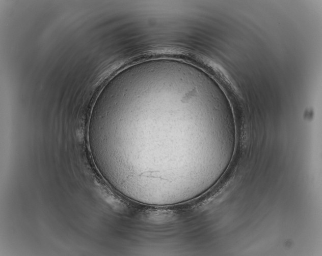 X0000090960833200708161814