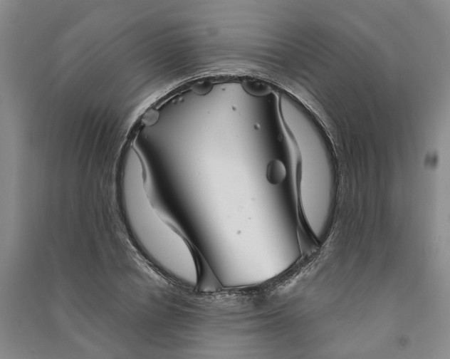 X0000090960834200708161814