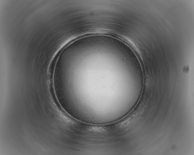 X0000090960835200708161814