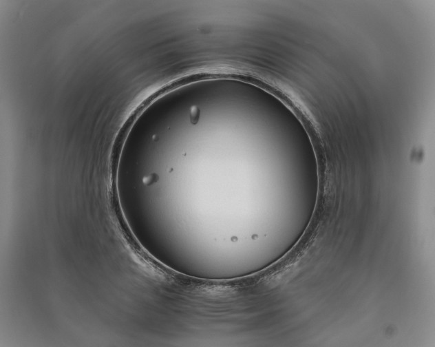 X0000090960837200708161814