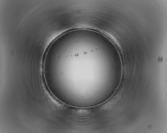 X0000090960839200708161814