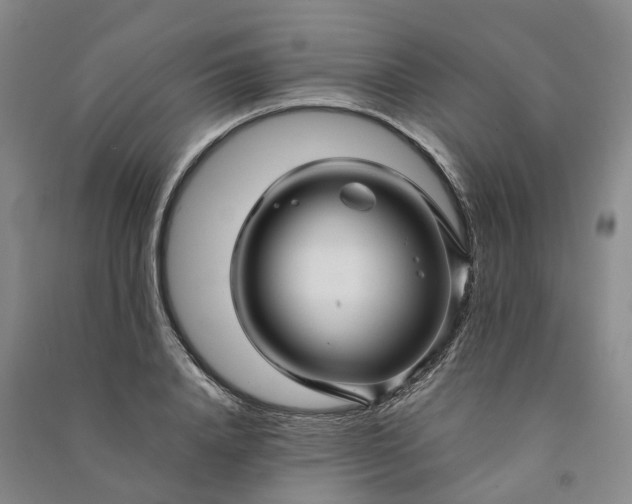 X0000090960840200708161814