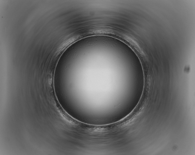 X0000090960841200708161814