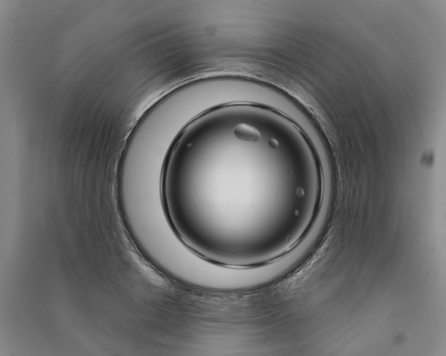 X0000090960842200708161814
