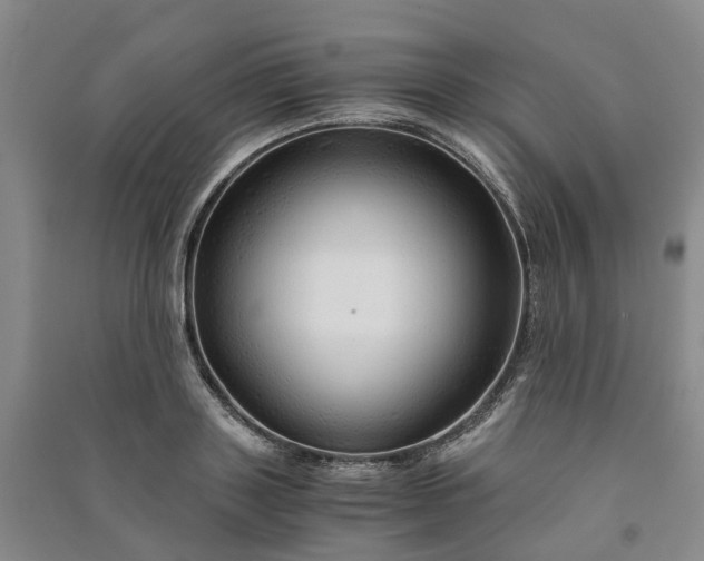X0000090960843200708161814