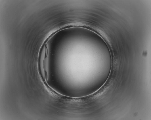 X0000090960845200708161814