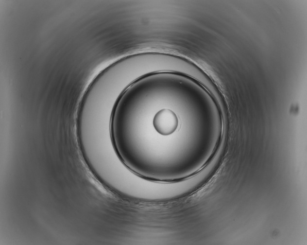 X0000090960846200708161814