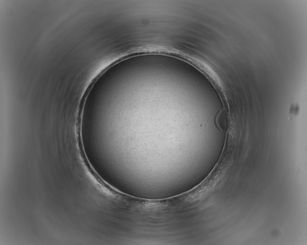 X0000090960847200708161814