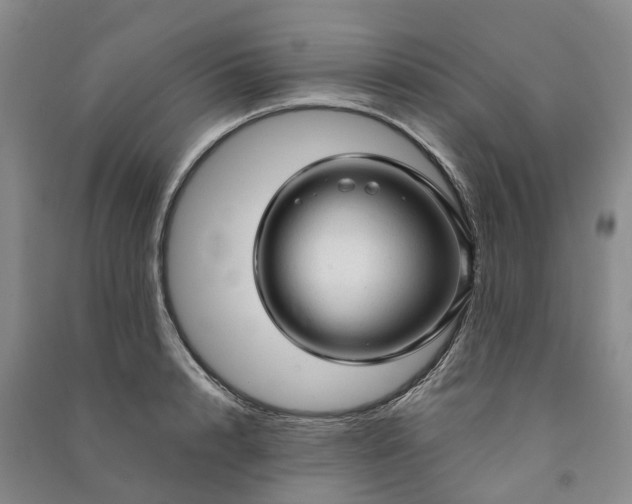 X0000090960848200708161814