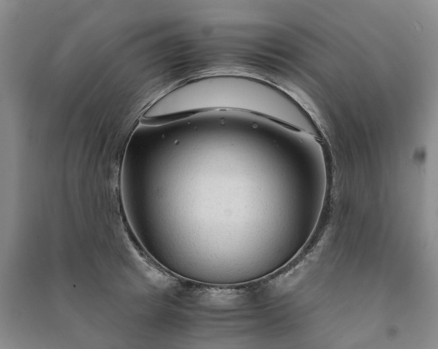 X0000090960849200708161814