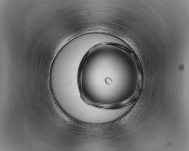 X0000090960850200708161814