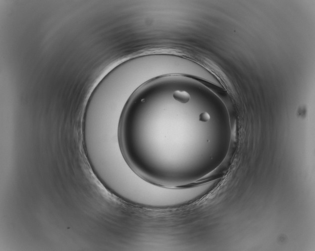 X0000090960852200708161814