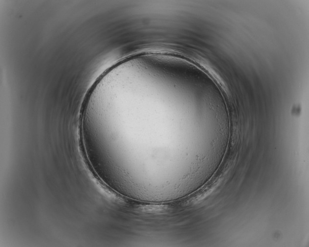 X0000090960853200708161814