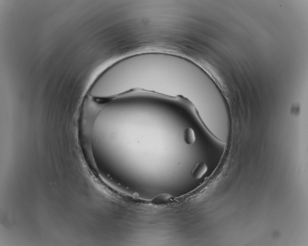X0000090960854200708161814