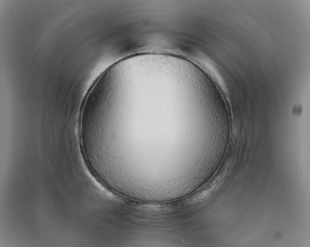 X0000090960855200708161814