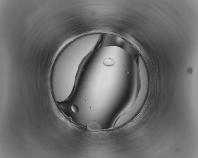 X0000090960856200708161814