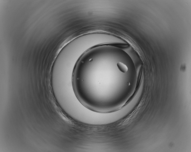 X0000090960858200708161814