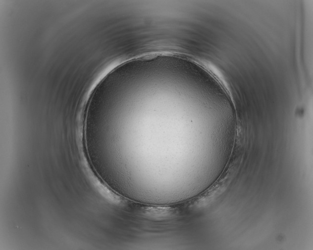 X0000090960859200708161814