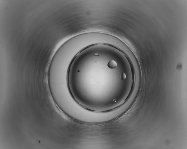 X0000090960862200708161814