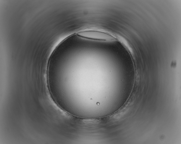 X0000090960863200708161814