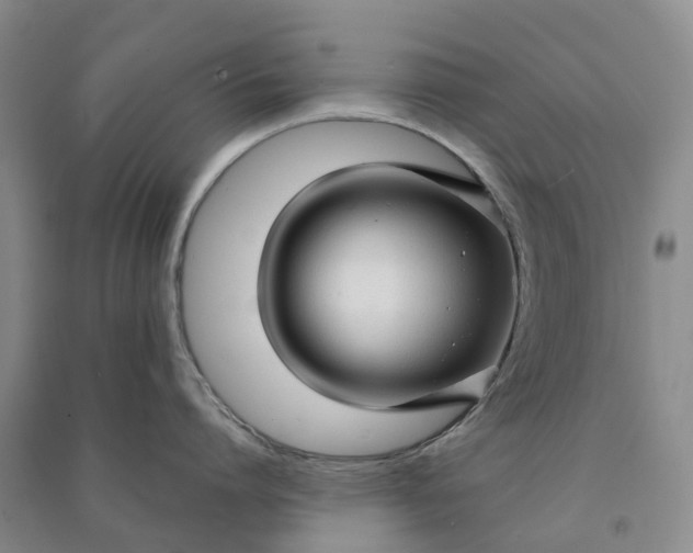 X0000090960864200708161814