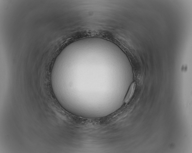 X0000090960865200708161814
