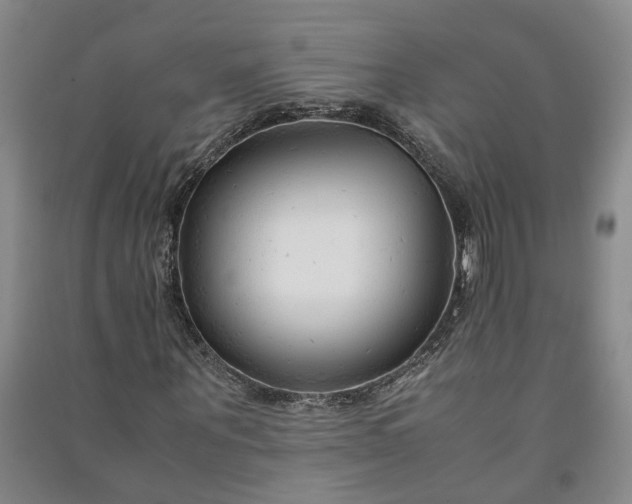 X0000090960867200708161814