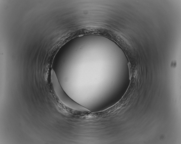 X0000090960868200708161814