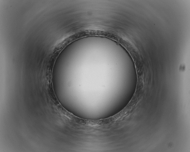 X0000090960870200708161814